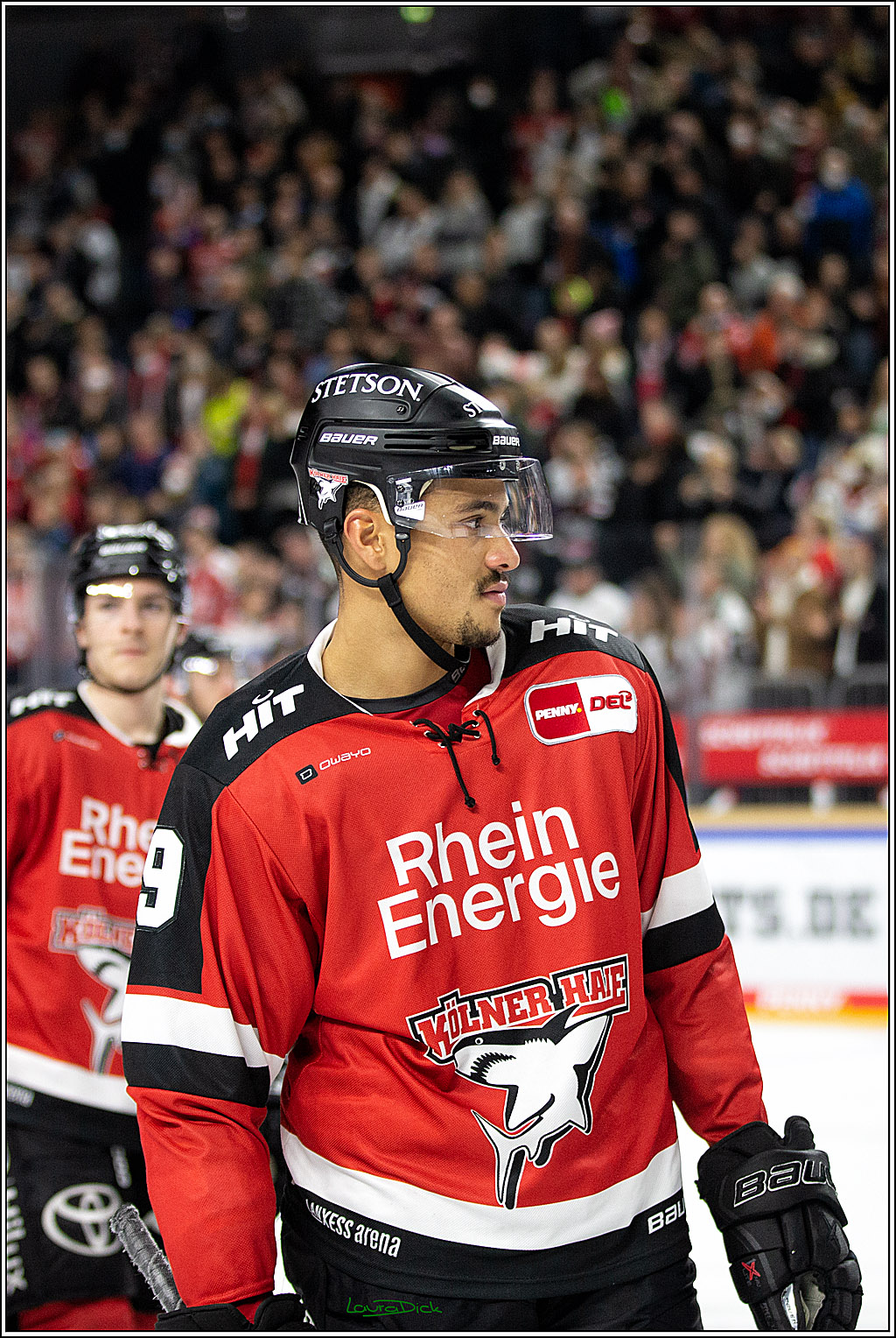 PENNY DEL; Koelner Haie- Bietigheim Steelers; Koeln, 19.11.2021